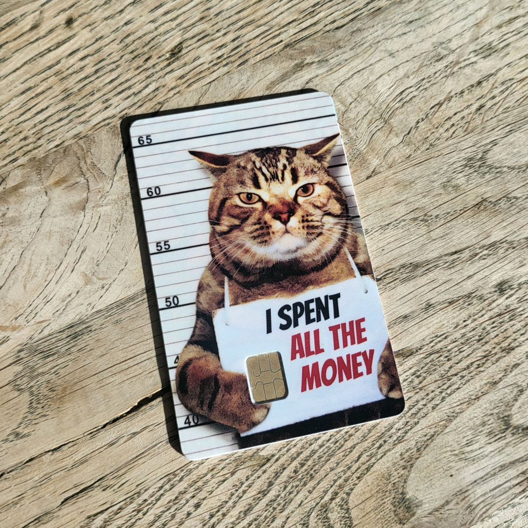 Katt Mugshot - "I spent all the money"