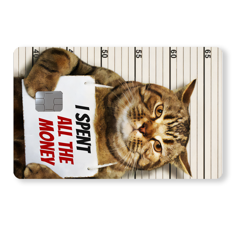 Kissa Mugshot - "I spent all the money"