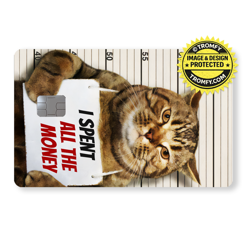 Katt Mugshot - "I spent all the money"