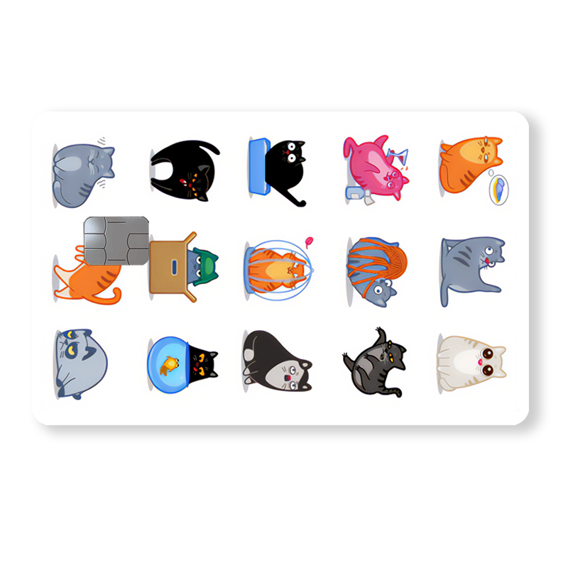 Kissat - Monet eri kissat