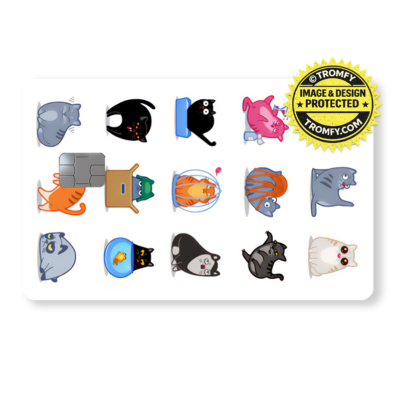 Katter - Många olika katter