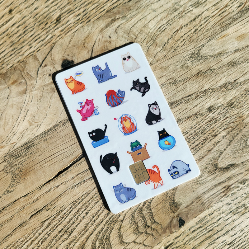 Kissat - Monet eri kissat