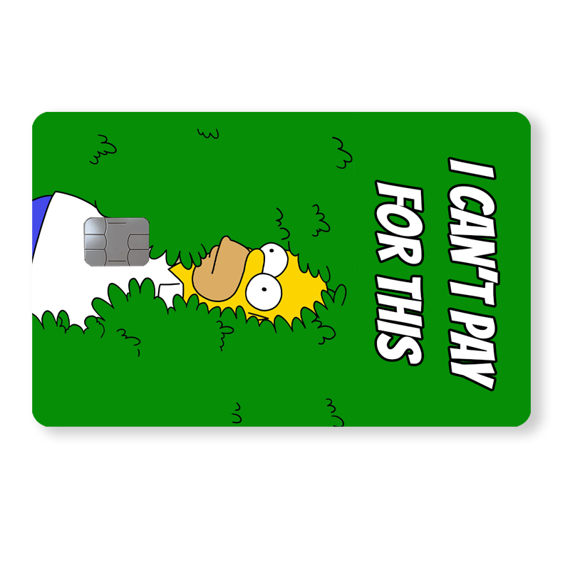 Homer - "I can't pay for this"