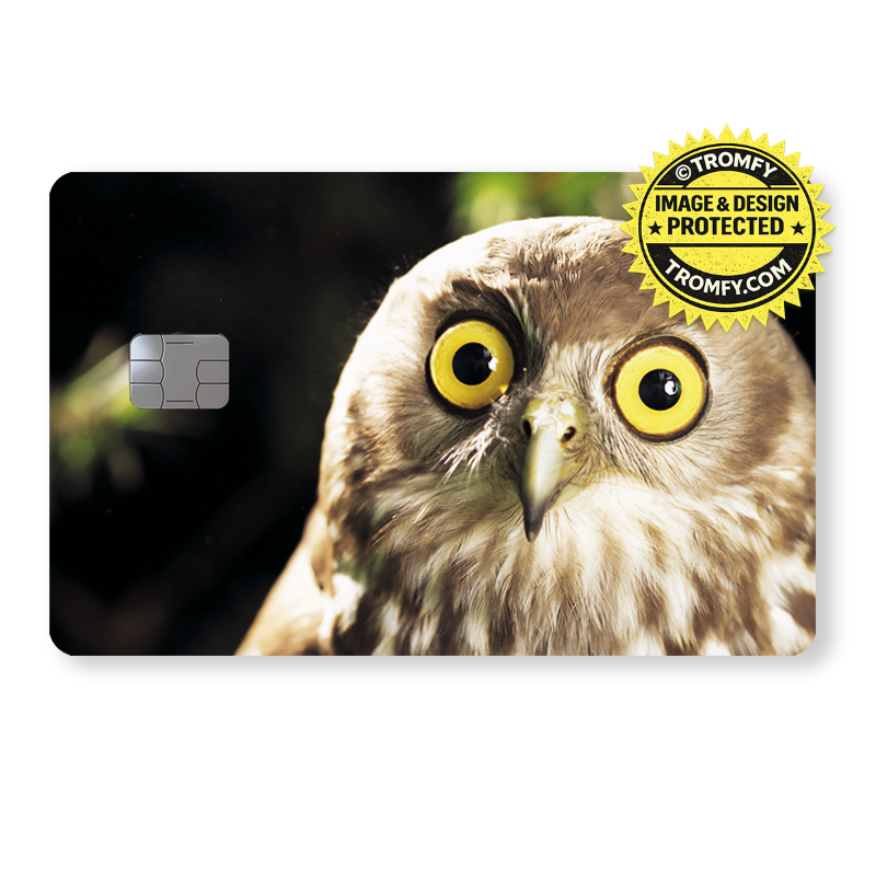 Förvånad uggla - Djur & Natur