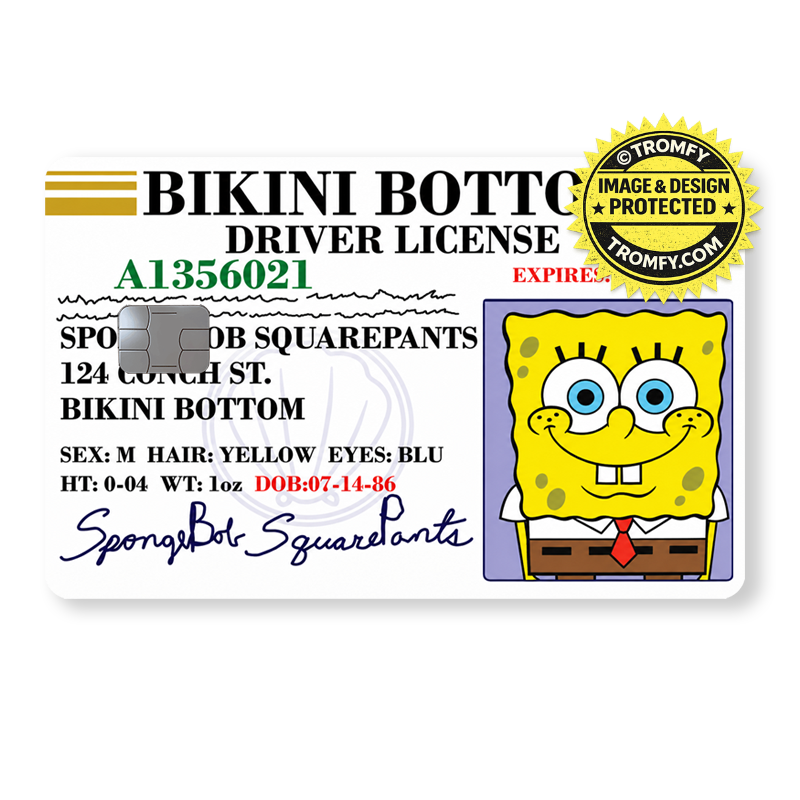 Funny Cartoon Driver’s License Card Sticker